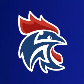FFHandball APK