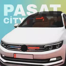 pasat стрий хеловін 2024